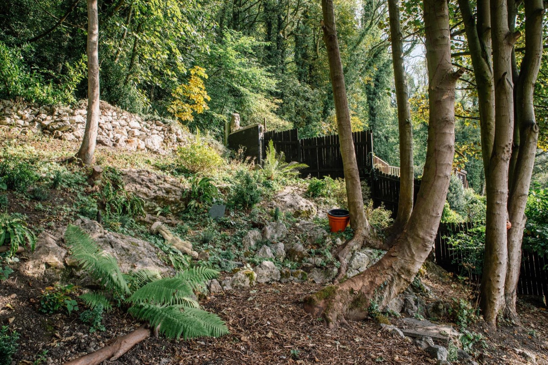 Images for Main Street, Carsington, Matlock